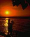 Amor